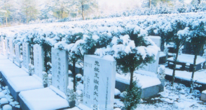 陵园风景图-2