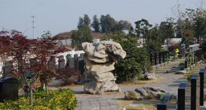陵园风景图-7